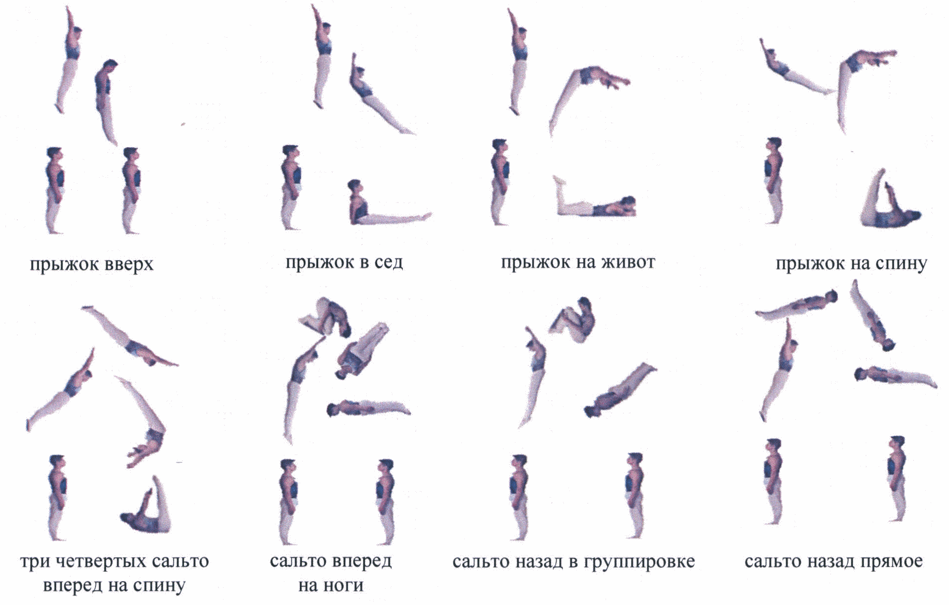 Рис. 95. Упражнение на батуте