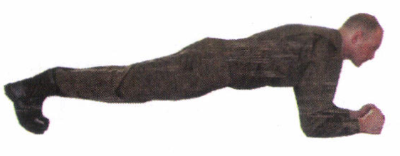 Рис. 97. Упор лежа на предплечьях