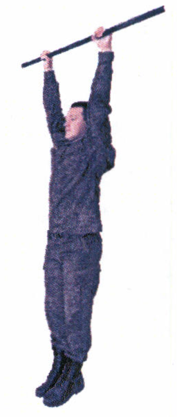 Рис. 100. Вис на перекладине