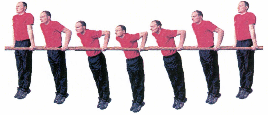 Рис. 8. Сгибание и разгибание рук в упоре на брусьях